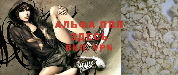 прущие грибы Абдулино
