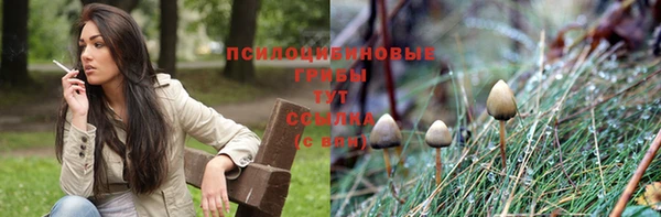 ешки Алексин