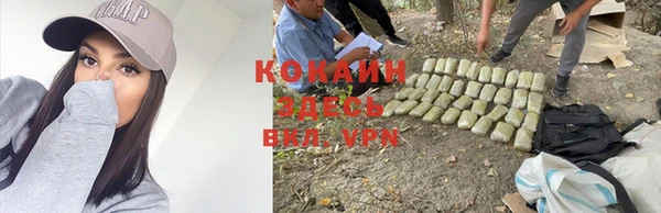 ешки Алексин